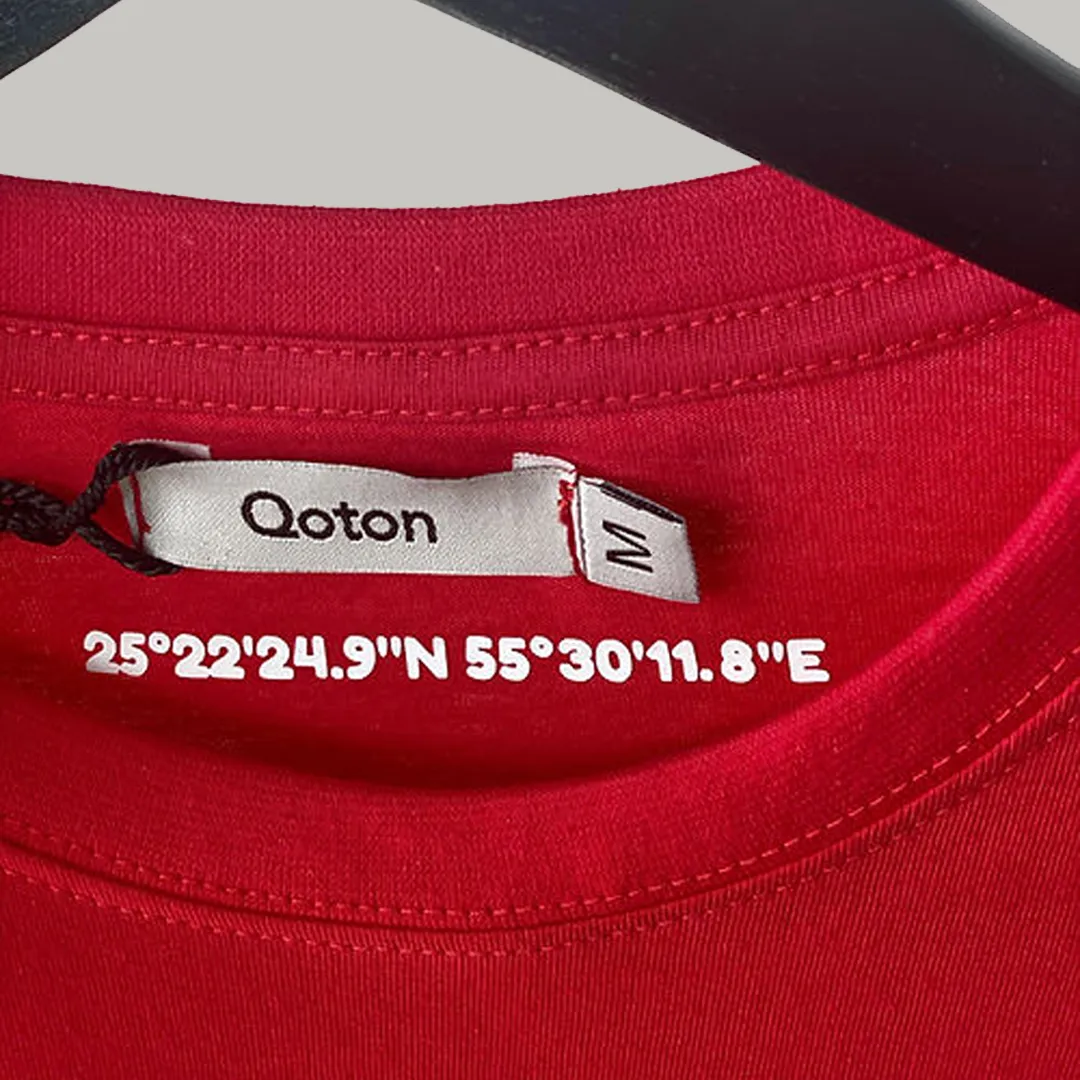 Printed T-Shirt With Hidden Print (puff)